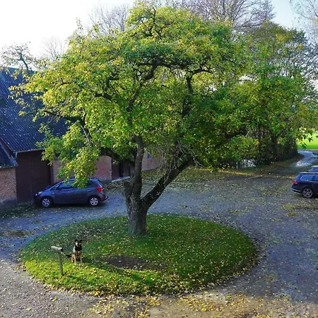 Johannsen Hofblick Apartment